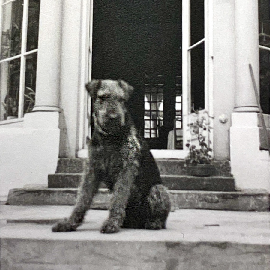 Milestone 1964 - 3rd employee of Tiefenbacher Pet Dog